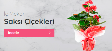 Öneçıkan Ürün